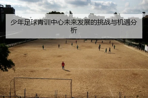少年足球青训中心未来发展的挑战与机遇分析
